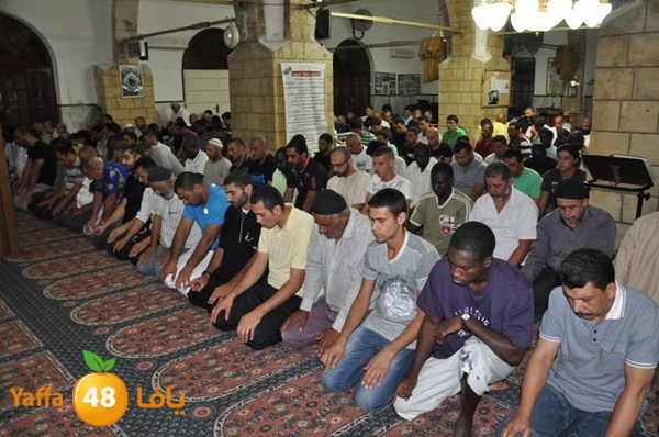 trawe7 7san bek 715 (29).JPG